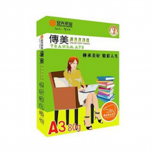 传美 80g/A3淡彩色复印纸 500张/包，5包/箱(单位：箱) 浅绿