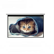 美视 100英寸 高清电动投影幕布灰塑 16：9/100英寸 (单位：个)