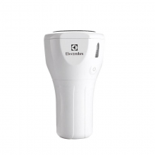 伊莱克斯 EGAC150  车载净化器 （单位：台）