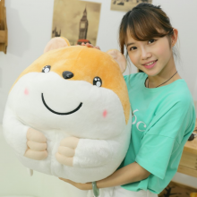 可爱新款哈姆太郎毛绒玩具玩偶可爱仓鼠田鼠公仔生日礼物女生