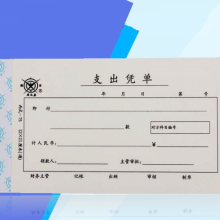 成文厚凭证/单据 支出凭单丙式-75