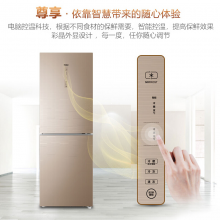 海尔（Haier）269升双门风冷无霜家用电冰箱两门 大容量节能 BCD-269WDGB