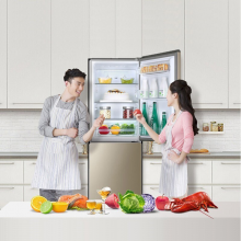 海尔（Haier）冰箱小型双开门170升风冷无霜两门家用电冰箱 迷你二门宿舍租房BCD-170WDPT 金质外观 风冷无霜 净味保鲜