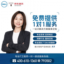 戴尔（DELL) PowerEdge R740机架式服务器主机数据库虚拟化电脑整机 1*铜牌 3204 【6核 6线程】 【标配】8G 内存丨1T SATA丨H330