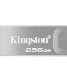 金士顿（Kingston）256GB USB 3.2 Gen 1 U盘 DTKN