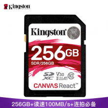 金士顿256GB SD存储卡 