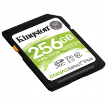 金士顿256GB SD存储卡