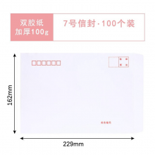 广博EN-1增值税发票用信封 信纸文件袋档案袋 白色7号229*162mm（100个）