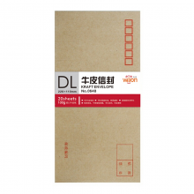 惠朗（huilang)5号牛皮信封邮局标准信封 100张装