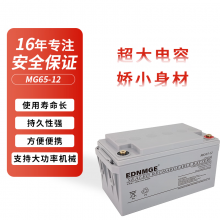 EDNMGE UPS电池铅酸蓄电池免维护 UPS不间断电源 12V65AH MG65-12型