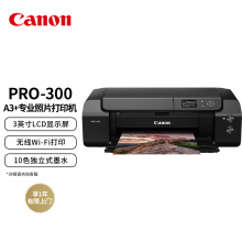 佳能（Canon） PRO-300 A3+幅面无线彩色喷墨专业照片打印机（10色独立式墨水系统）