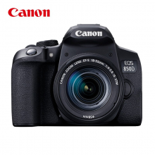 佳能（Canon）EOS 850D（EF-S18-55mm f/4-5.6 IS STM）单反套机（含128G卡+滤镜+备用电池+三脚架+相机包）