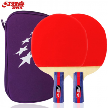 红双喜（DHS）二星级直拍乒乓球拍套装T2006对拍
