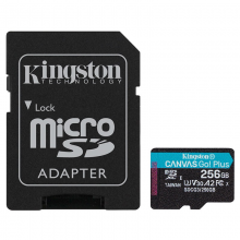 金士顿（Kingston）TF卡(Micro SD) 监控 手机 摄像头专用 高速存储内存卡 SDCG3/256G(读速170M/S)
