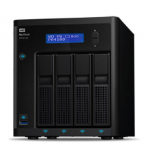 西部数据PR4100 40T