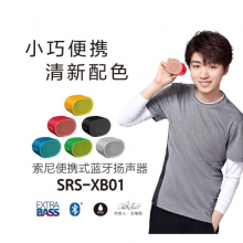 索尼（SONY） SRS-XB01无线蓝牙音箱重低音炮大音量便携式浅灰白