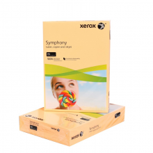 施乐（Xerox）浅金色 80g A4 彩色复印纸 500张/包（500张）