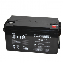 山克不间段电源12V65AH