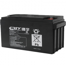 商宇（CPSY）UPS不间断电源 GW12V65AH GW1265