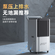多乐信（DOROSIN）大功率工业除湿机抽湿机泵压上排水家用吸湿器DK-138EQ