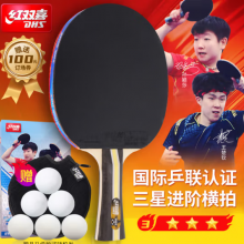 红双喜DHS三星横拍双面反胶乒乓球拍3星单拍兵兵拍H3002