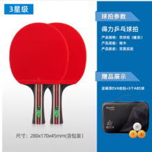 得力（deli）乒乓球拍安格耐特乒乓球拍双拍儿童小学生用初学者级三星球拍 3星