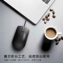 戴尔（DELL）MS116 鼠标有线 商务办公经典对称 有线鼠标 USB接口 即插即用