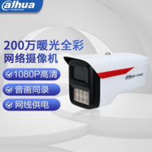 大华（dahua）网络摄像机 暖光全彩八灯枪大光圈摄像头室外监控 DH-IPC-HFW2233M-A-L8-V3