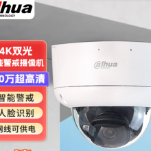 大华（dahua）监控摄像头800万网络高清识别全彩夜视 5倍变焦DH-IPC-HDBW4843R1-ZYL-PV-AS