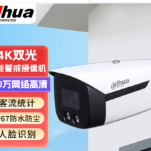 大华dahua 监控摄像头800万网络高清人脸识别监控器全彩电动变焦 DH- IPC-HFW4843F1-ZYL-PV-AS