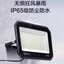 公牛（BULL）LED投光灯户外庭院工厂园林灯露营灯 IP65防水等级100W-6500K白光