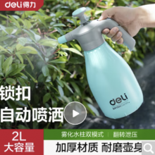 得力（deli）浇花家用气压式喷壶高压喷雾器喷水壶防疫酒精杀菌2L DL581020