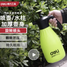 得力（deli）浇花喷壶喷雾器园艺喷水壶洗车酒精消毒气压式2L