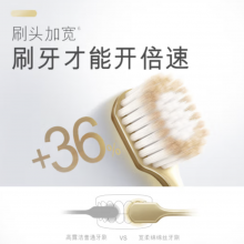 高露洁（Colgate）48孔小宽头护龈超细软毛牙刷1支