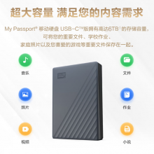 西部数据（WD）移动硬盘2TB 