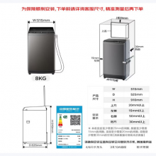 小天鹅洗衣机波轮全自动8公斤家用出租房1-2人用一级能效