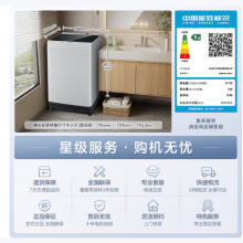 松下（Panasonic）抗菌除螨 波轮洗衣机 10KG大容量 一级能效