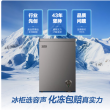 容声100L单温冰柜小型家用冷冻冷藏柜减霜80%冷柜一级能效节能