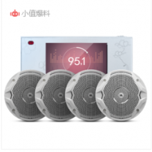 JBL吸顶音箱MS6510