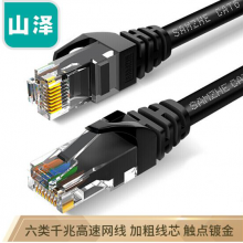 山泽(SAMZHE) 高速六类CAT6类网线 千兆网络连接线黑色10米CAH-6100