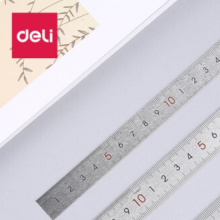  得力（deli） 文具钢尺 厘米刻度尺钢制直尺不锈钢铁尺子 塑料尺子 8461