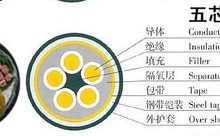 天津小猫YJV22.3*35电缆