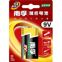 南孚/2号/碱性电池/节