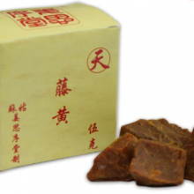 上字藤黄/5g