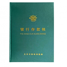 成文厚 借贷式110银行现金存款日记账