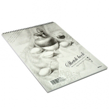 晨光(M&G)文具16K/40页素描本 易上铅绘画本 美术专用速写本 单本装APYMB135