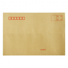 得力（deli） 牛皮纸信封邮局标准信封 9号牛皮纸(324*229mm)25201  40张/包 张