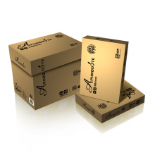  金光（APP）阿芙罗（Aphrodite）80g A4 复印纸 500张/包