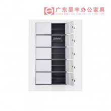 昊丰FY-W01灰白五节档案柜