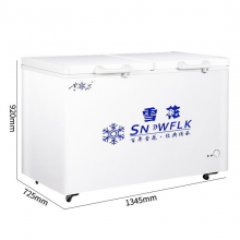 雪花（SNOWFLK） 冰柜  BD/BC-550